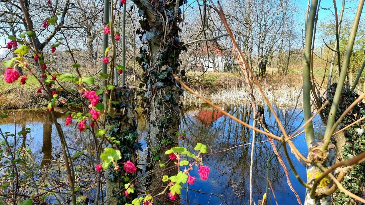 شقة Bornholm Majalis Rønne المظهر الخارجي الصورة